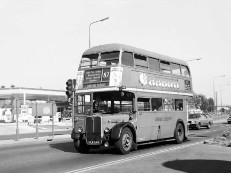 Buses